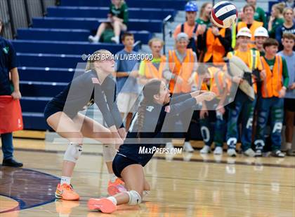 Thumbnail 1 in Lewis-Palmer @ Pine Creek photogallery.