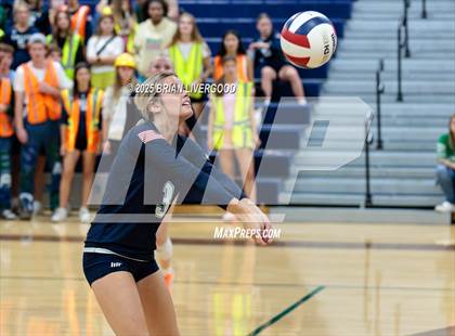 Thumbnail 1 in Lewis-Palmer @ Pine Creek photogallery.