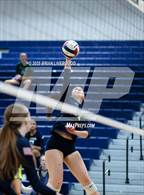 Photo from the gallery "Lewis-Palmer @ Pine Creek"