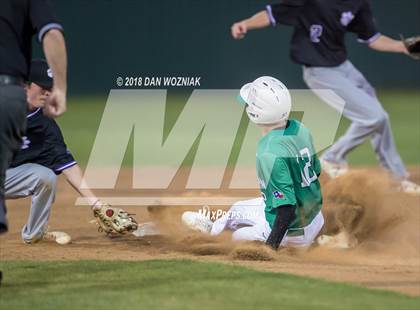 Thumbnail 2 in Paschal @ Arlington photogallery.