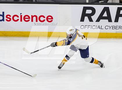 Thumbnail 2 in Notre Dame Academy vs St. Mary's (MIAA Division 1 Final) photogallery.