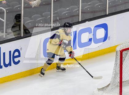 Thumbnail 3 in Notre Dame Academy vs St. Mary's (MIAA Division 1 Final) photogallery.