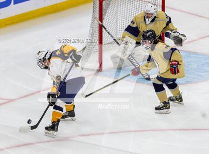 Thumbnail 3 in Notre Dame Academy vs St. Mary's (MIAA Division 1 Final) photogallery.