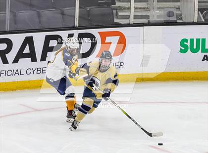 Thumbnail 1 in Notre Dame Academy vs St. Mary's (MIAA Division 1 Final) photogallery.