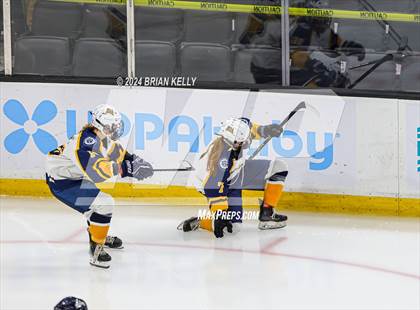 Thumbnail 1 in Notre Dame Academy vs St. Mary's (MIAA Division 1 Final) photogallery.