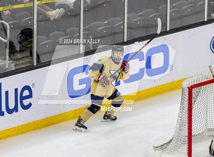 Thumbnail 1 in Notre Dame Academy vs St. Mary's (MIAA Division 1 Final) photogallery.