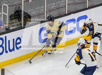 Thumbnail 2 in Notre Dame Academy vs St. Mary's (MIAA Division 1 Final) photogallery.