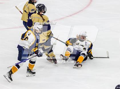 Thumbnail 3 in Notre Dame Academy vs St. Mary's (MIAA Division 1 Final) photogallery.