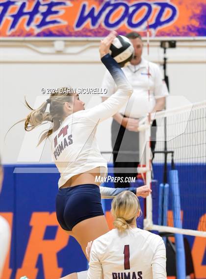 Thumbnail 1 in Perry @ Notre Dame Prep (Westwood Tournament) photogallery.