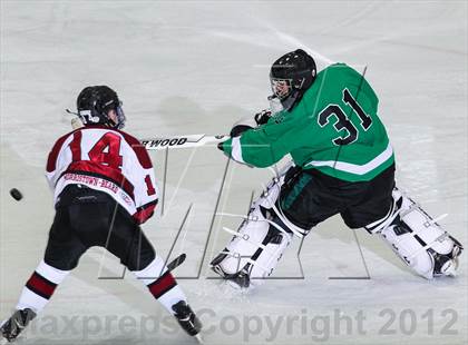Thumbnail 3 in Kinnelon @ Morristown-Beard photogallery.
