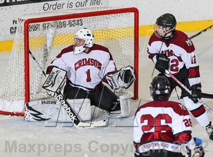 Thumbnail 1 in Kinnelon @ Morristown-Beard photogallery.