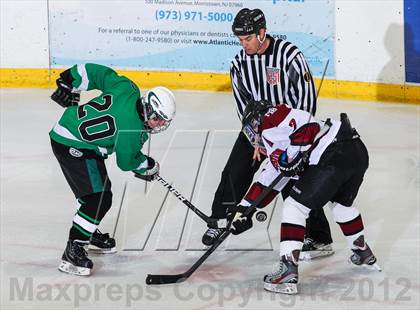 Thumbnail 3 in Kinnelon @ Morristown-Beard photogallery.