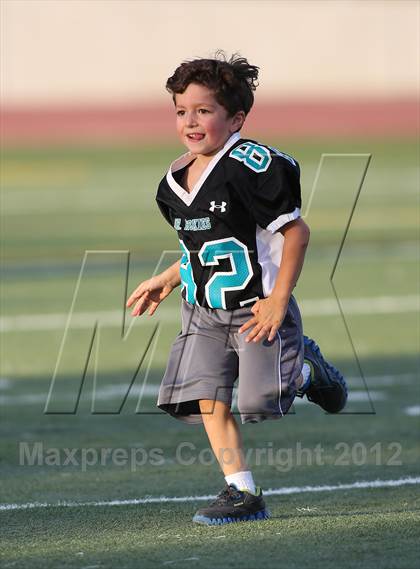 Thumbnail 1 in Elk Grove @ Sheldon photogallery.