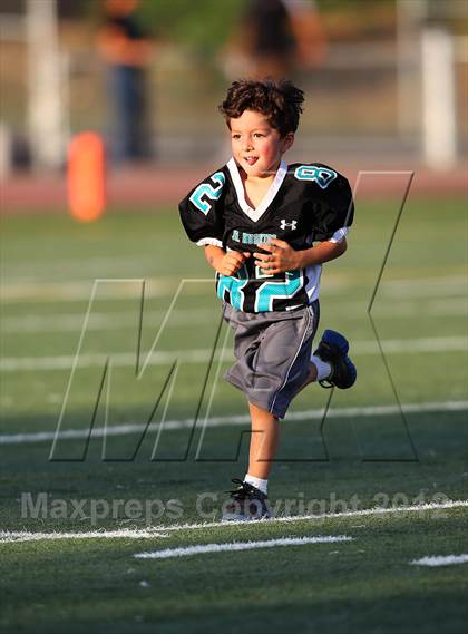 Thumbnail 3 in Elk Grove @ Sheldon photogallery.