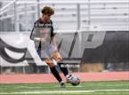 Photo from the gallery "White Pine @ Fernley"