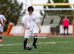 Photo from the gallery "White Pine @ Fernley"