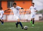 Photo from the gallery "White Pine @ Fernley"