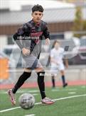 Photo from the gallery "White Pine @ Fernley"
