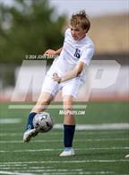 Photo from the gallery "White Pine @ Fernley"