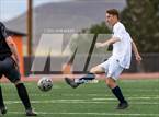 Photo from the gallery "White Pine @ Fernley"