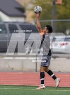 Photo from the gallery "White Pine @ Fernley"