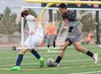 Photo from the gallery "White Pine @ Fernley"