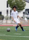 Photo from the gallery "White Pine @ Fernley"