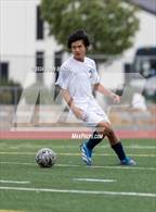 Photo from the gallery "White Pine @ Fernley"