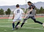 Photo from the gallery "White Pine @ Fernley"