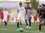 Photo from the gallery "White Pine @ Fernley"