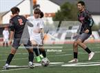 Photo from the gallery "White Pine @ Fernley"