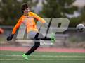 Photo from the gallery "White Pine @ Fernley"