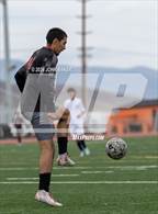 Photo from the gallery "White Pine @ Fernley"