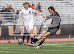 Photo from the gallery "White Pine @ Fernley"