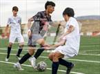 Photo from the gallery "White Pine @ Fernley"