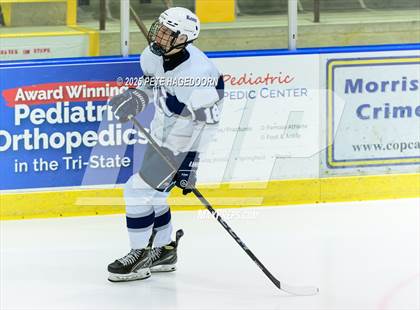 Thumbnail 3 in Randolph @ Morristown_Beard photogallery.