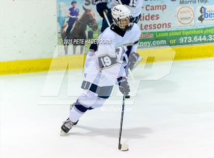 Thumbnail 1 in Randolph @ Morristown_Beard photogallery.