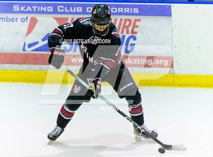 Thumbnail 1 in Randolph @ Morristown_Beard photogallery.