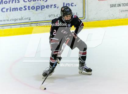 Thumbnail 1 in Randolph @ Morristown_Beard photogallery.