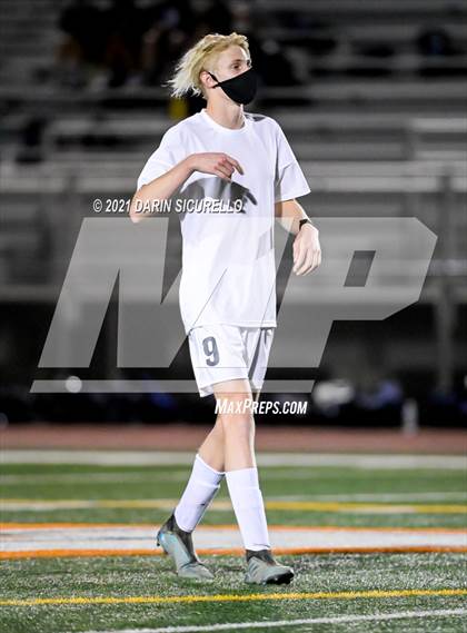 Thumbnail 2 in Cactus Shadows @ Campo Verde photogallery.