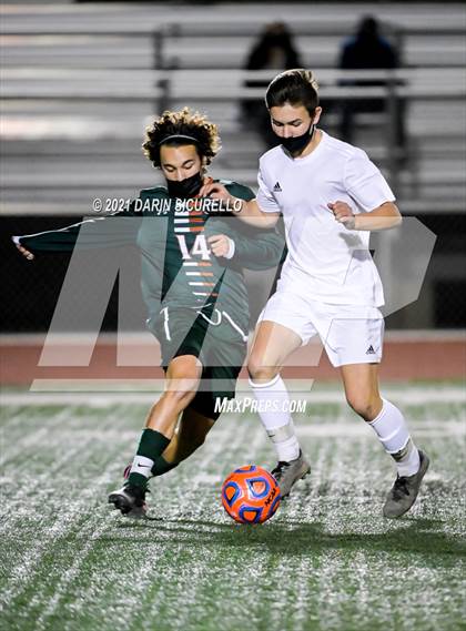 Thumbnail 1 in Cactus Shadows @ Campo Verde photogallery.