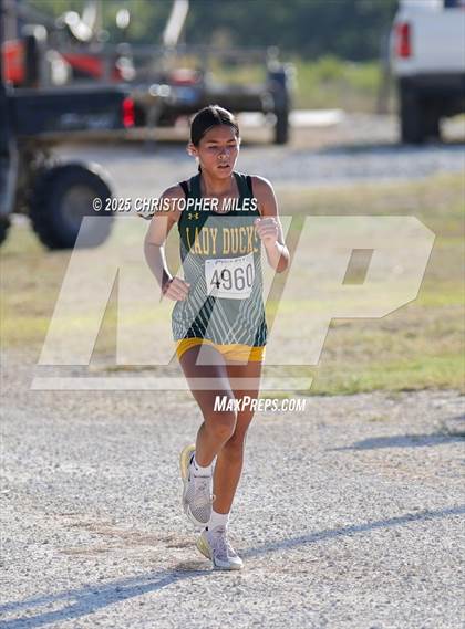 Thumbnail 3 in JV: UIL 4A Cross Country District 24 Qualifier photogallery.