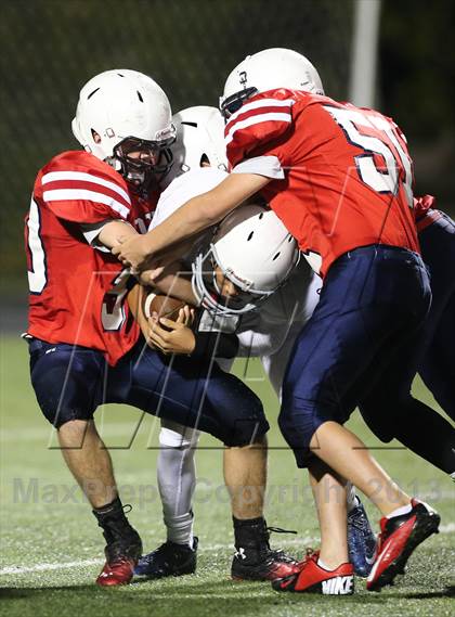 Thumbnail 3 in Boyd A vs Williams photogallery.