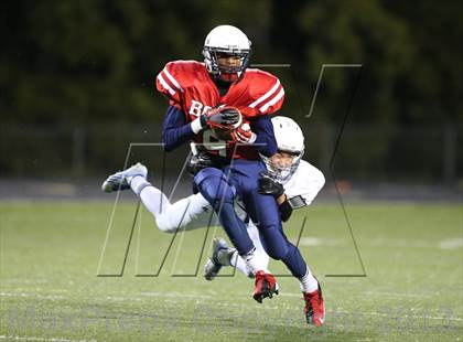 Thumbnail 1 in Boyd A vs Williams photogallery.