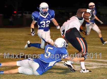 Thumbnail 2 in Gilmer @ Spring Hill photogallery.