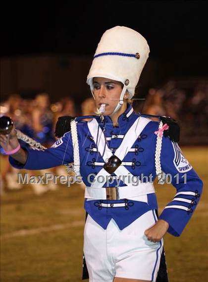 Thumbnail 3 in Gilmer @ Spring Hill photogallery.