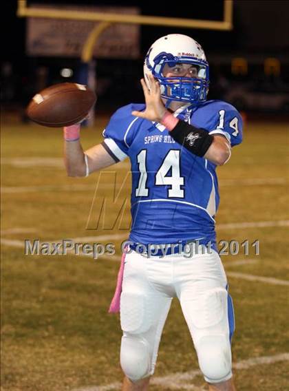Thumbnail 3 in Gilmer @ Spring Hill photogallery.