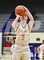 Photo from the gallery "Delta vs. Tipton (Fieldhouse Classic)"