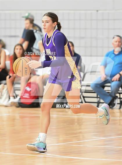 Thumbnail 1 in Notre Dame Prep vs. Eagle (Section 7) photogallery.