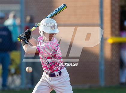 Thumbnail 1 in Ola vs Hampton photogallery.